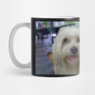 PET DOG Mug